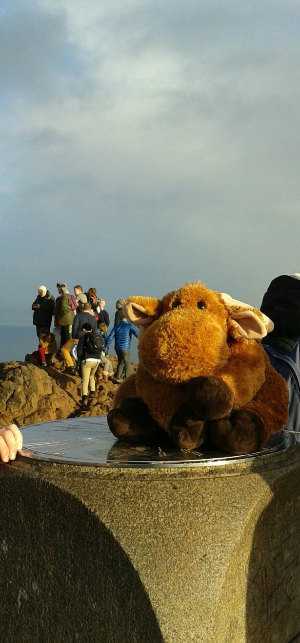 2018-01-02 22.21.19.jpg